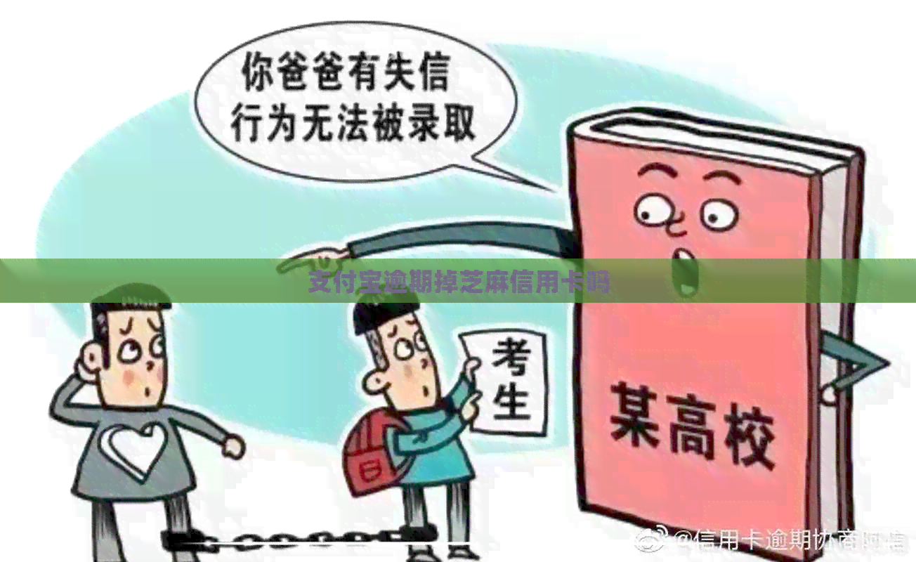 支付宝逾期掉芝麻信用卡吗