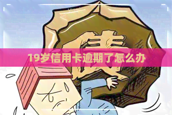 19岁信用卡逾期了怎么办