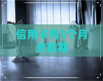 信用卡有5个月的逾期