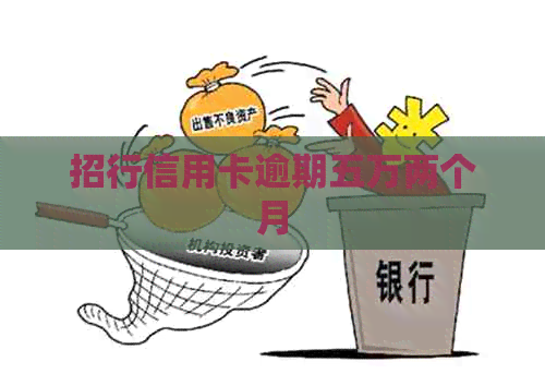 招行信用卡逾期五万两个月