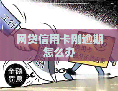 网贷信用卡刚逾期怎么办
