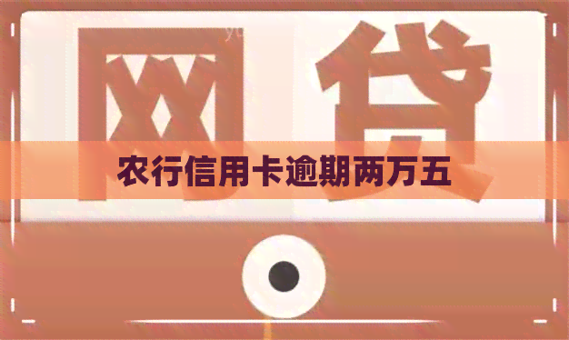 农行信用卡逾期两万五