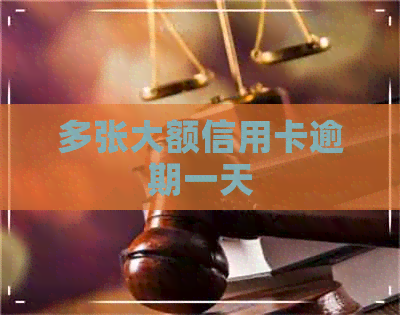 多张大额信用卡逾期一天