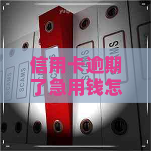 信用卡逾期了急用钱怎么办