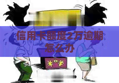信用卡额度2万逾期怎么办