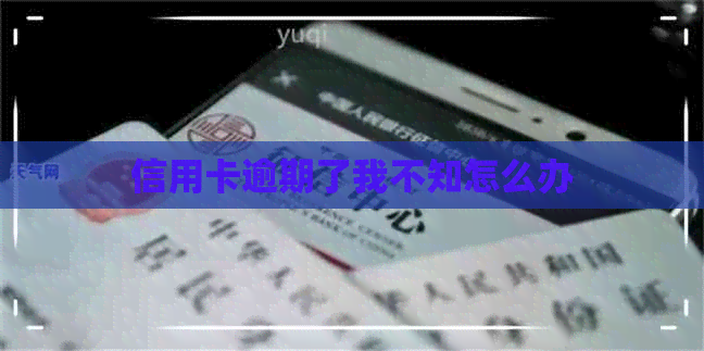 信用卡逾期了我不知怎么办
