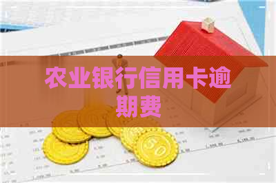 农业银行信用卡逾期费
