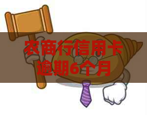 农商行信用卡逾期6个月