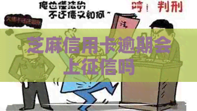 芝麻信用卡逾期会上吗