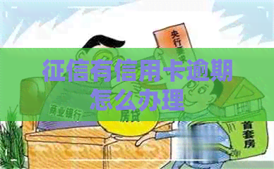 有信用卡逾期怎么办理