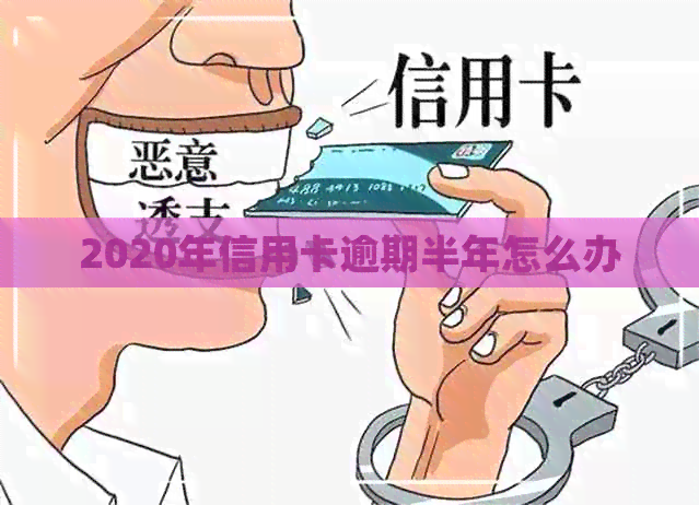 2020年信用卡逾期半年怎么办