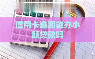 信用卡逾期能办小额贷款吗