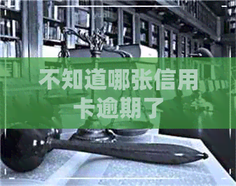 不知道哪张信用卡逾期了