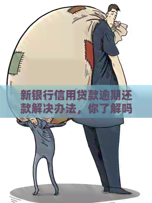 新银行信用贷款逾期还款解决办法，你了解吗？