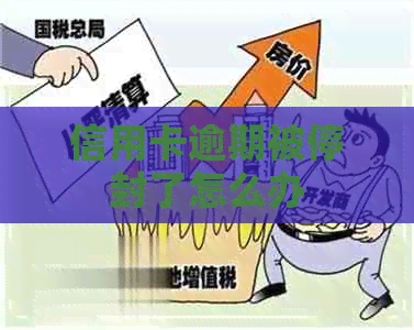 信用卡逾期被停封了怎么办