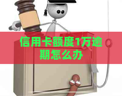 信用卡额度1万逾期怎么办