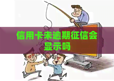 信用卡未逾期会显示吗