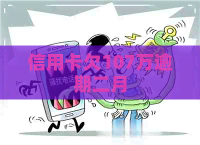 信用卡欠107万逾期二月