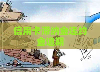 信用卡滞纳金违约金逾期