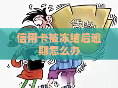 信用卡被冻结后逾期怎么办