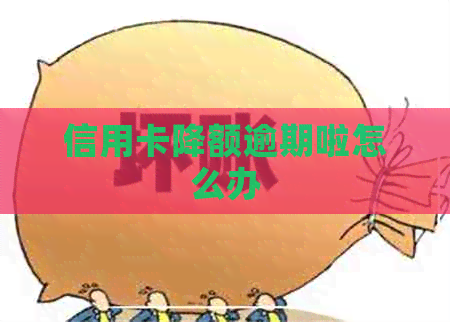 信用卡降额逾期啦怎么办