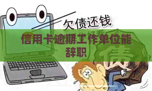 信用卡逾期工作单位能辞职
