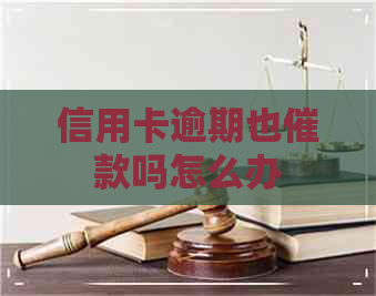 信用卡逾期也催款吗怎么办
