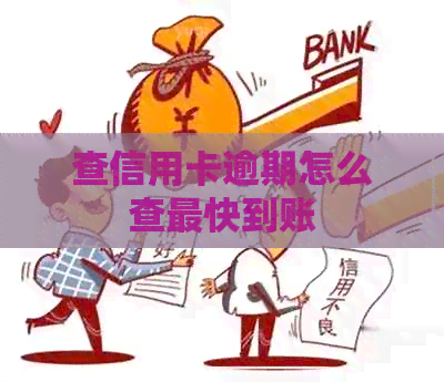 查信用卡逾期怎么查最快到账