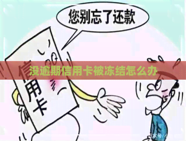 没逾期信用卡被冻结怎么办