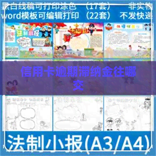 信用卡逾期滞纳金往哪交