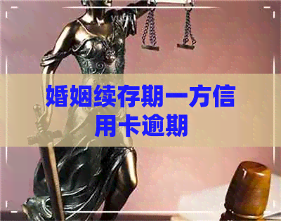 婚姻续存期一方信用卡逾期