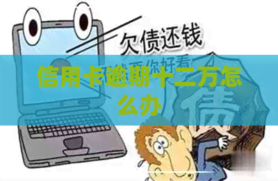 信用卡逾期十二万怎么办