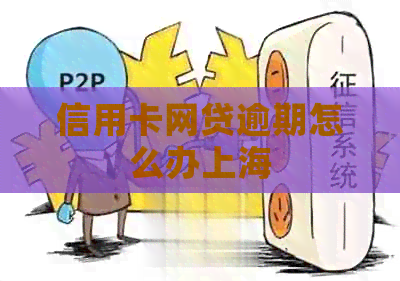 信用卡网贷逾期怎么办上海