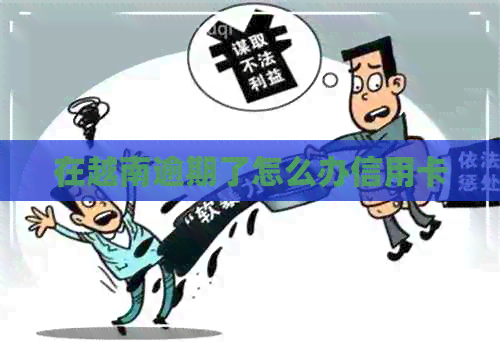 在越南逾期了怎么办信用卡