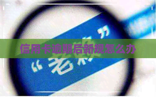信用卡逾期后新规怎么办
