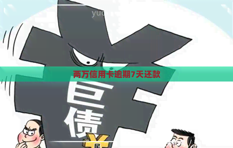 两万信用卡逾期7天还款