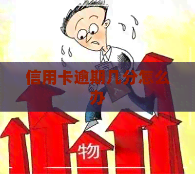 信用卡逾期几分怎么办