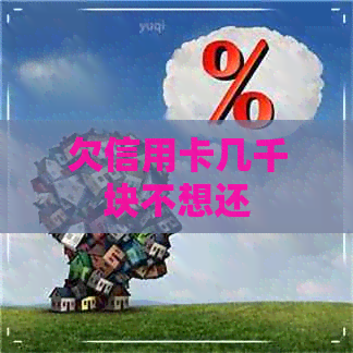 欠信用卡几千块不想还