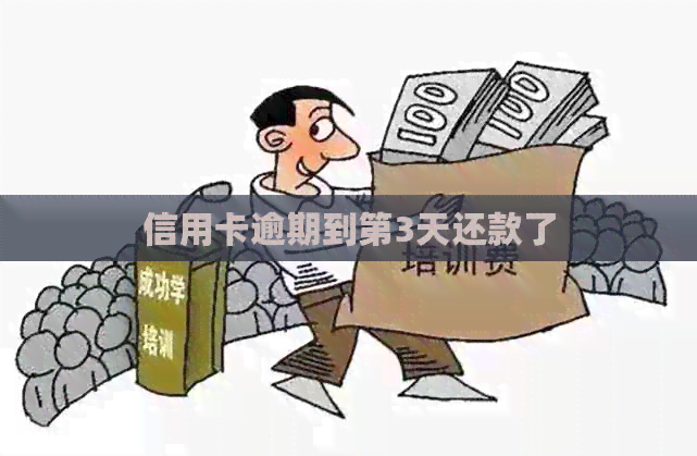 信用卡逾期到第3天还款了
