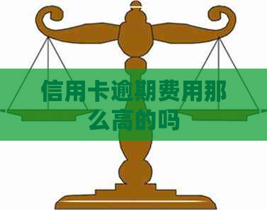 信用卡逾期费用那么高的吗