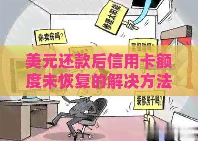 美元还款后信用卡额度未恢复的解决方法及原因分析
