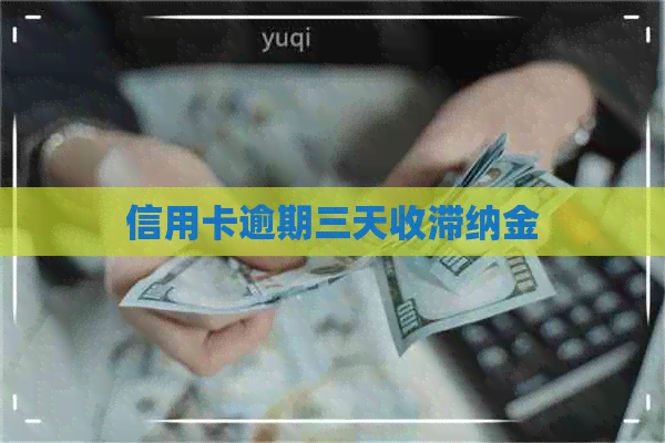 信用卡逾期三天收滞纳金