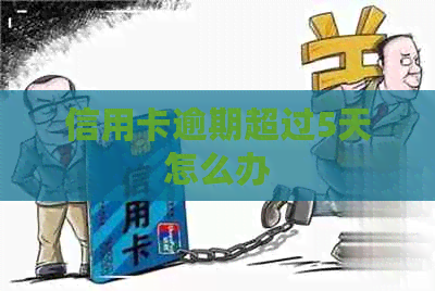 信用卡逾期超过5天怎么办