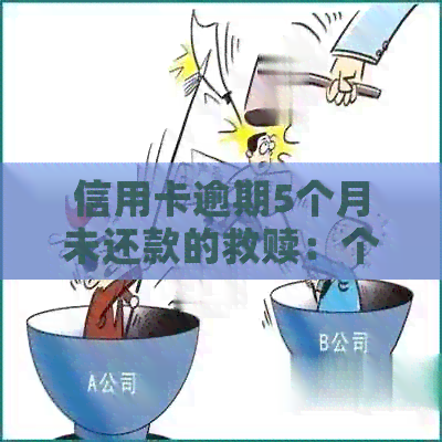 信用卡逾期5个月未还款的救赎：个性化分期解决方案全面解析