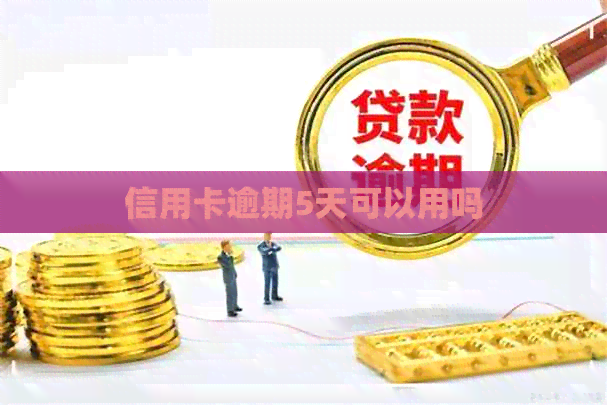 信用卡逾期5天可以用吗