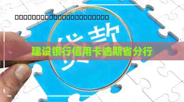 建设银行信用卡逾期省分行