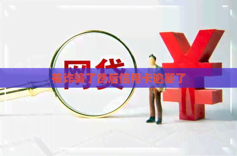 被诈骗了然后信用卡逾期了