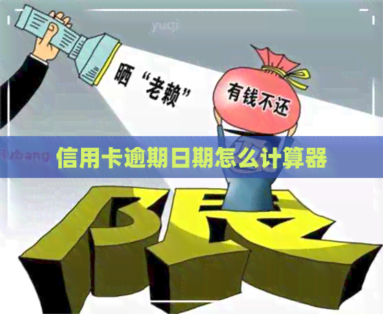 信用卡逾期日期怎么计算器