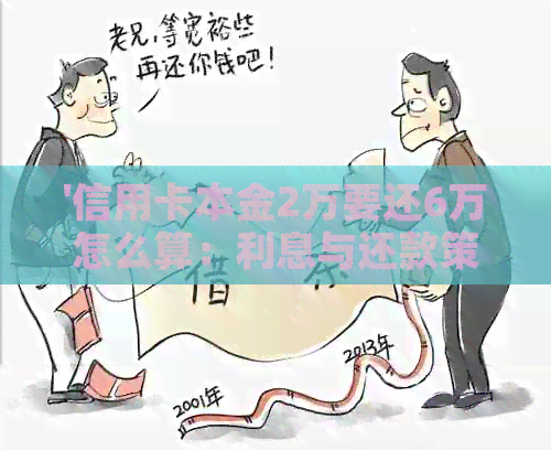'信用卡本金2万要还6万怎么算：利息与还款策略'