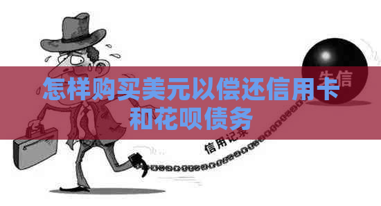 怎样购买美元以偿还信用卡和信用卡债务
